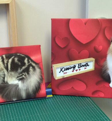 Cat Canvases