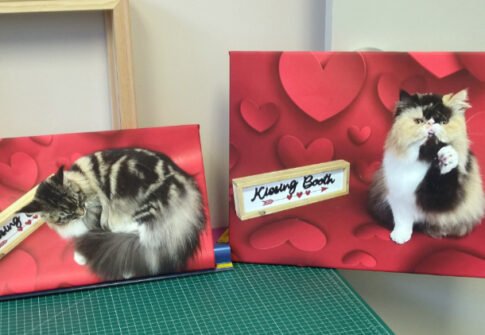 Cat Valentine's Canvases