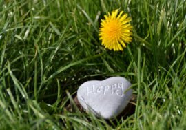 Happy Rock and flower